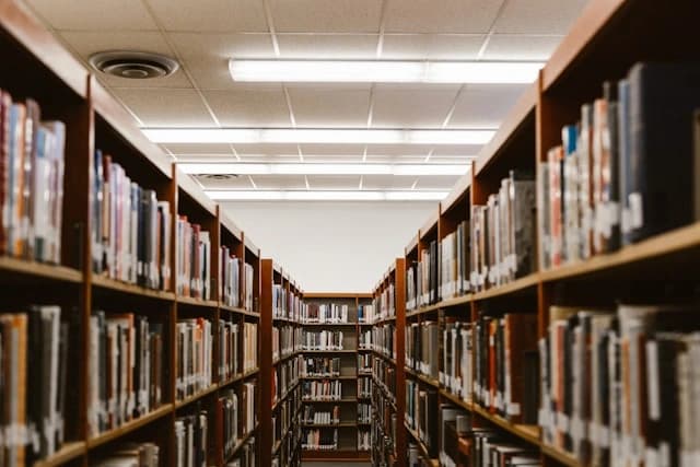 Sector Educación y Formación - Financiacion especializada